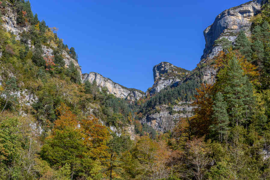 Huesca - parque nacional de Ordesa y Monte Perdido - valle de Añisclo 81 - cañon de Añisclo.jpg